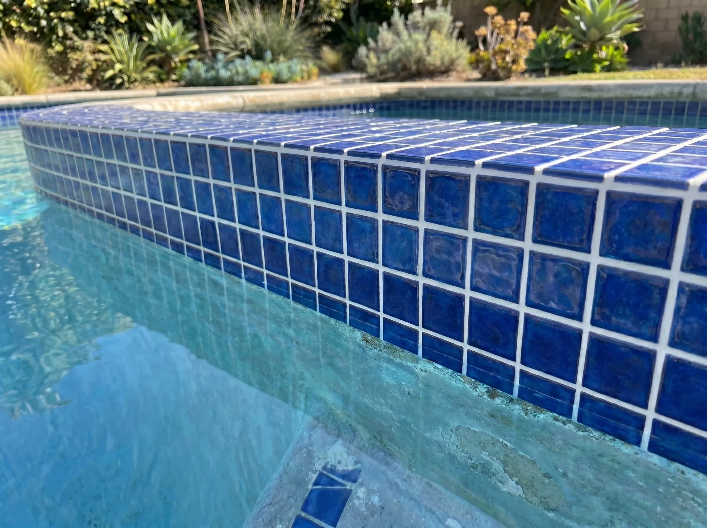 Pool Tile Cleaning, after